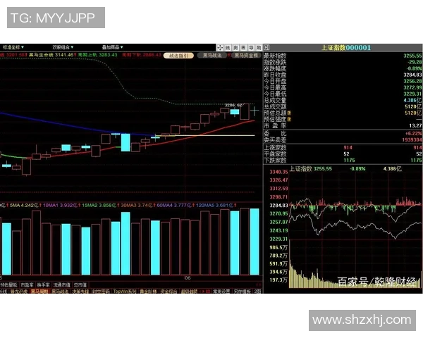 杭州街舞队防守策略分析与表现评估探讨